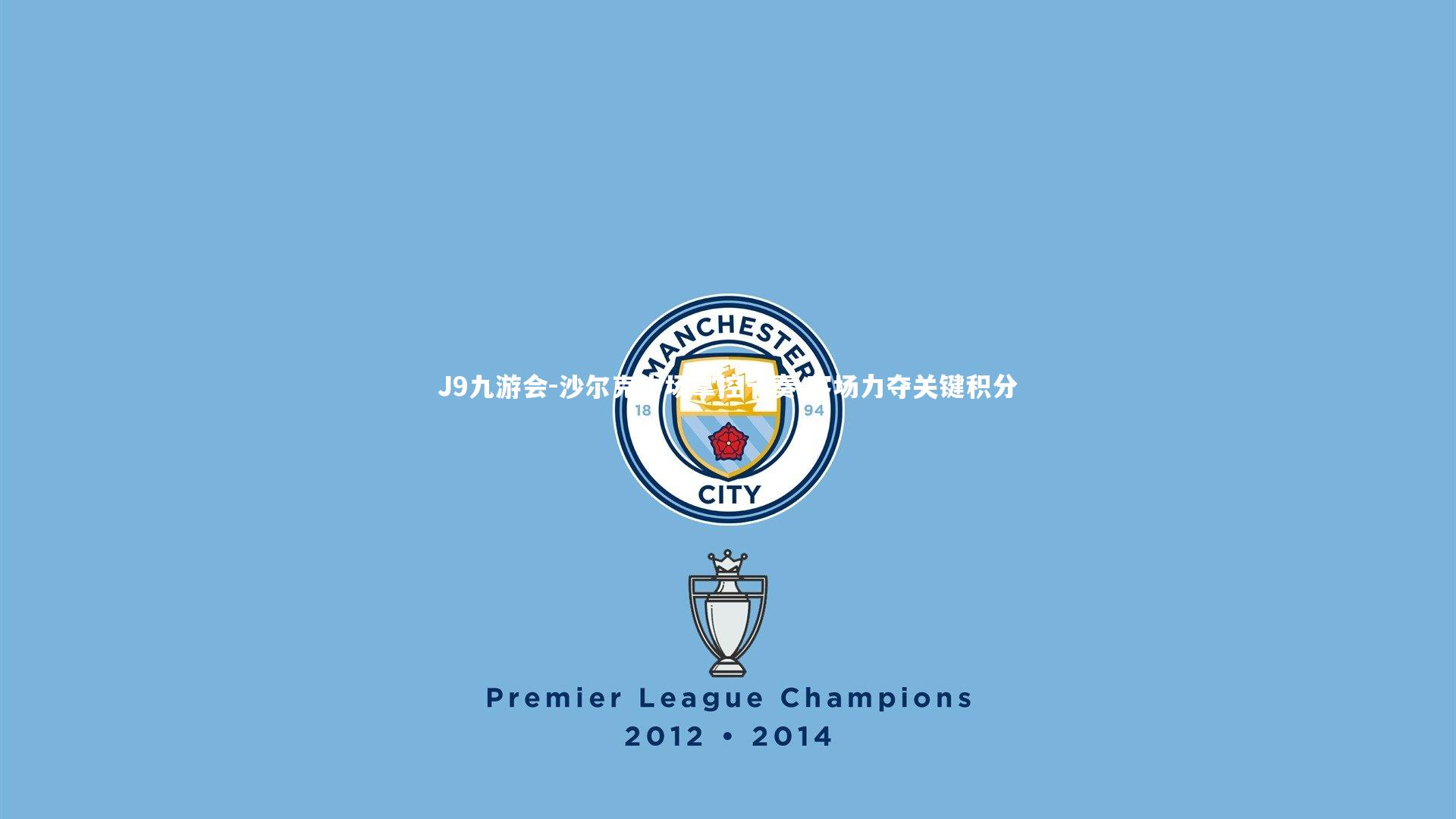 沙尔克中场掌控节奏 客场力夺关键积分